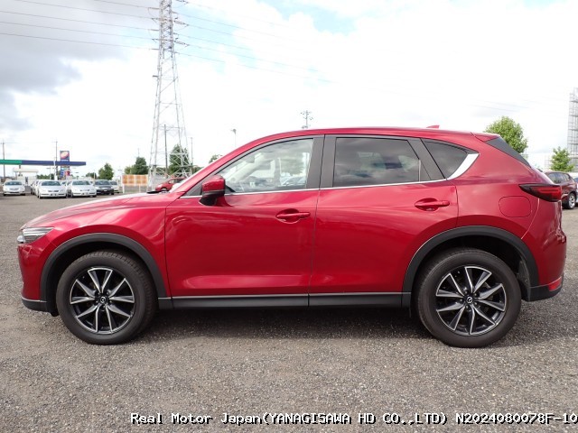 Thumbnail 8
